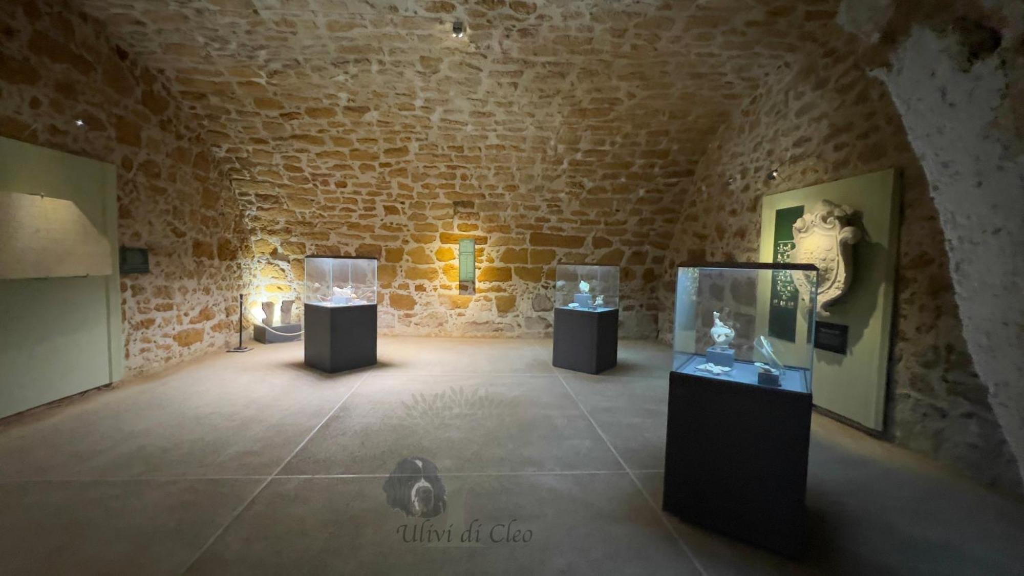 Гостевой дом Ulivi Di Cleo Реальмонте Экстерьер фото