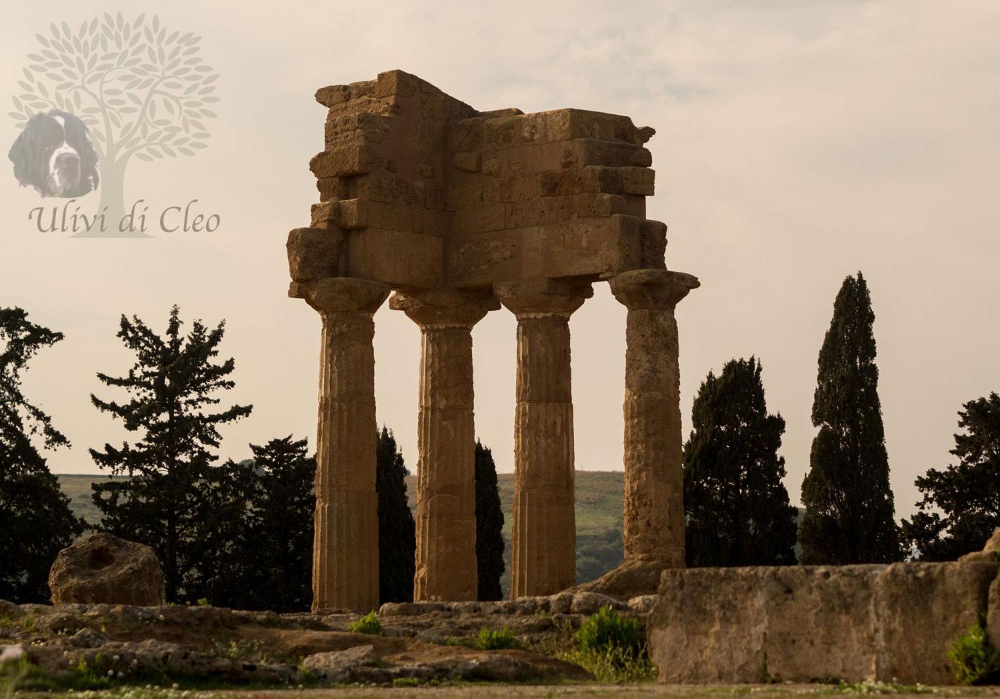Гостевой дом Ulivi Di Cleo Реальмонте Экстерьер фото